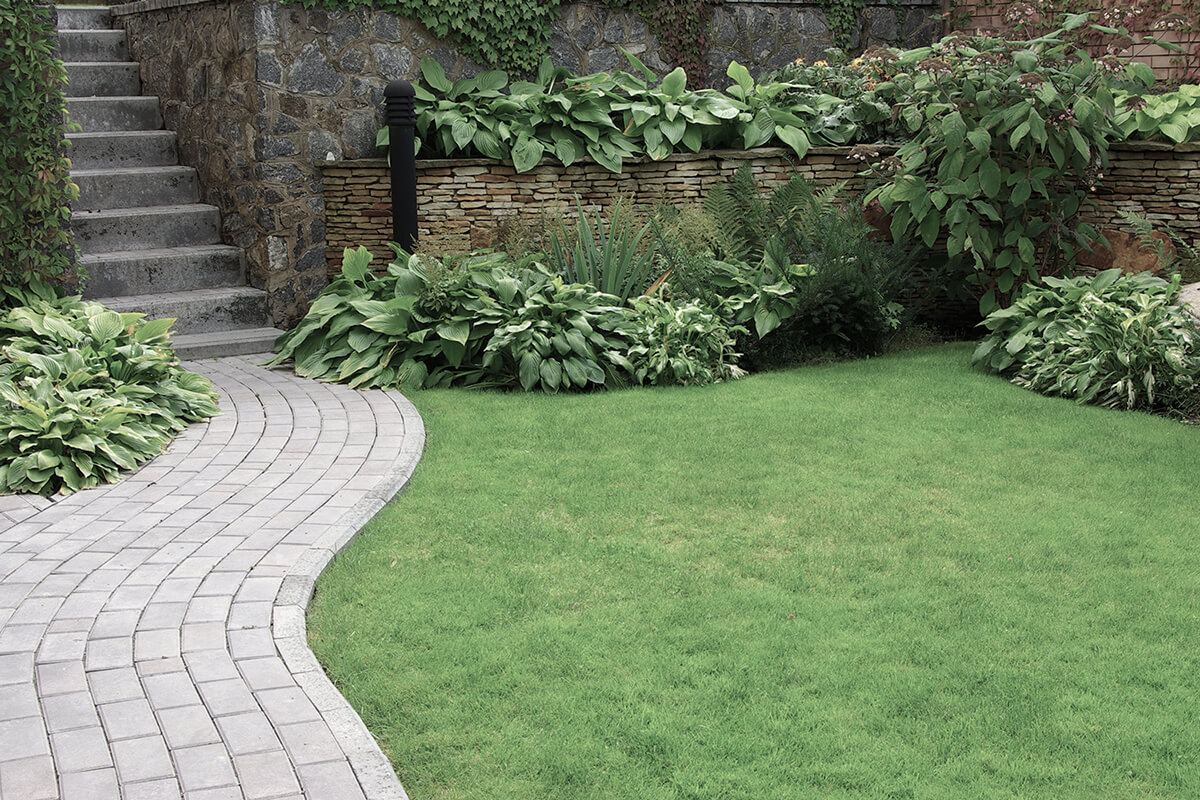 Welcome to Harris Landscaping